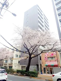 東京都練馬区桜台4【マンション】の外観