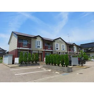 シャン レジーナの画像