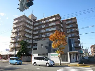 サニーアームスの画像