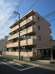 エリエントの画像