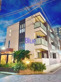 カ一サビオレッ夕の画像