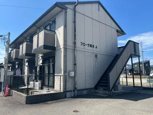 フローラ岡本の画像