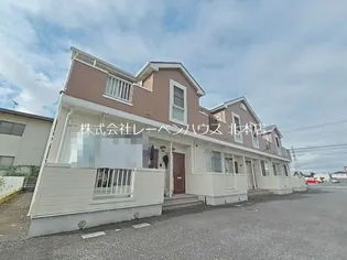 ソル レヴェンテの画像
