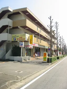 ブルーメンインセルIIの画像