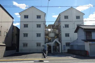 ポラリス桜井Vの画像