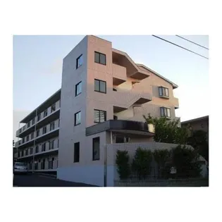 ファインコートの画像