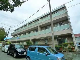 リブリ メープルの画像