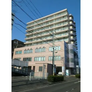 宮城県仙台市宮城野区高砂1【マンション】の外観