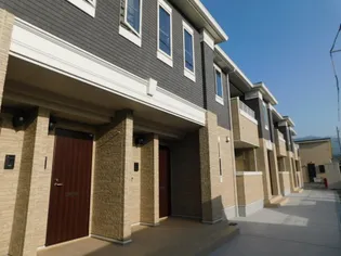 アカンサスの画像