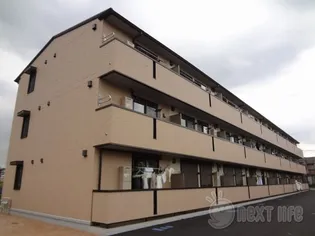 アンドミーワの画像