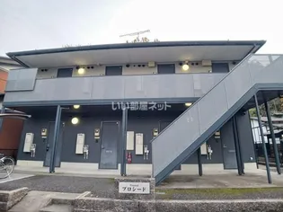 プロシードの画像