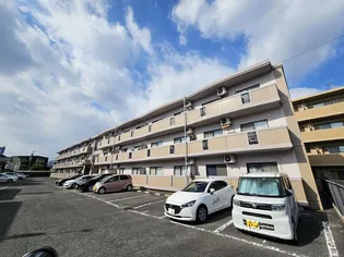 ラフィーネ野村の画像