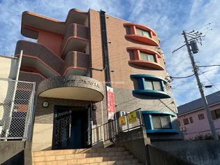 セレッソ クエスタ湘南の画像