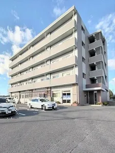 ミルフォードの画像