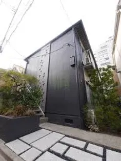 ヨツヤソウの画像