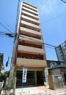 アヴァンティ千代の画像