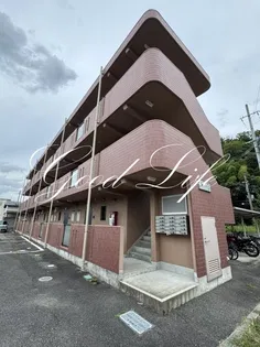 兵庫県丹波篠山市杉【マンション】の外観