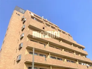 ストーンフィールドNO 3の画像