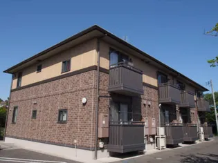 パティーナの画像