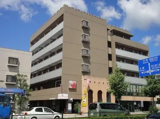 ヴィヴィ プリメラの画像