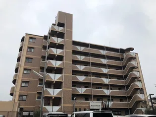 大阪府大阪市平野区長吉出戸2【マンション】の外観