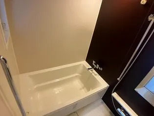 ライオンズ豊見城セントマークス【12階】の風呂