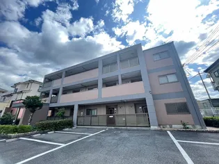 プリムローズの画像