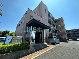 パストラル石井の画像