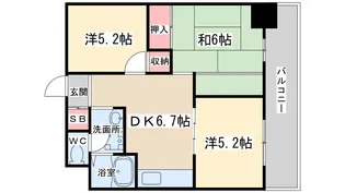 シンコーメゾン扇町【5階】の間取り