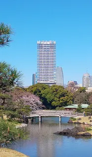 パークコート浜離宮ザタワー【21階】の外観