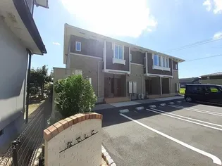 なでしこの画像