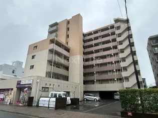 エヴァーグリーン新羽の画像