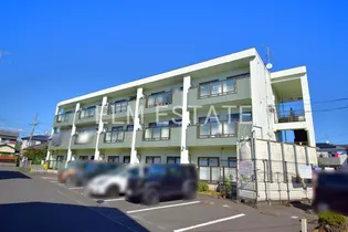 ソレイユ ル ヴァンの画像