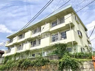 ジュネススズキの画像