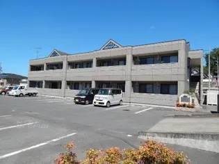 グリシーナの画像