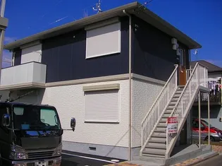 ルナリアAの画像