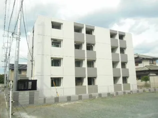 ボラ カーサの画像