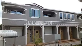 キャット ディオの画像