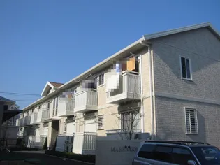 マリーゴールドの画像