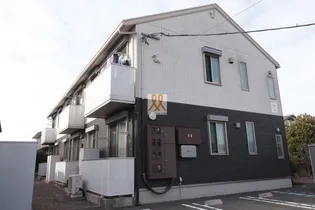 アムールの画像