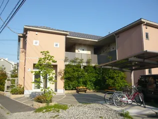 STAGE PURE PEARの画像