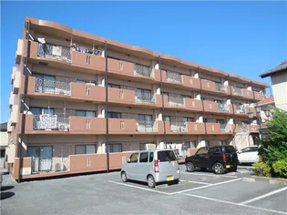 グローブ9の画像