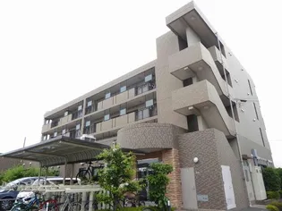 セレッソの画像