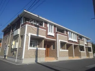 サンフラワーBの画像