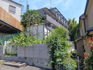 カテリーナ生田【3階】の外観