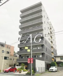 コライユ常盤の画像