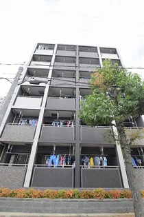 カーサデルリオ【4階】の外観