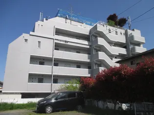 ケープロイヤルの画像