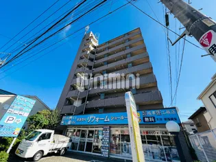 ヴァーテクスカワグチの画像