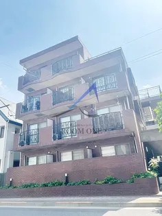 ヒラソルの画像